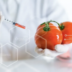 تلوث خاص.. مخلفات الأدوية النفسية وصلت إلى أوراق الطماطم والجزر