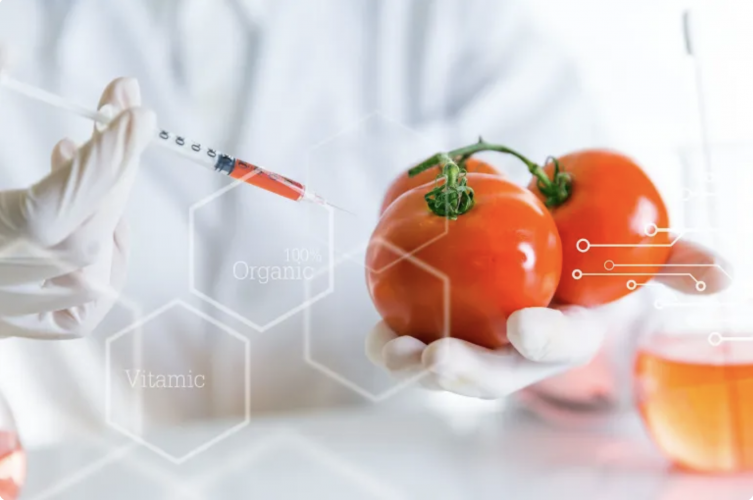 تلوث خاص.. مخلفات الأدوية النفسية وصلت إلى أوراق الطماطم والجزر